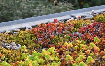 the cost of Perran Downs green roof installation